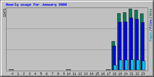 Hourly usage for January 2008