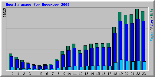 Hourly usage for November 2008