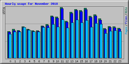 Hourly usage for November 2018